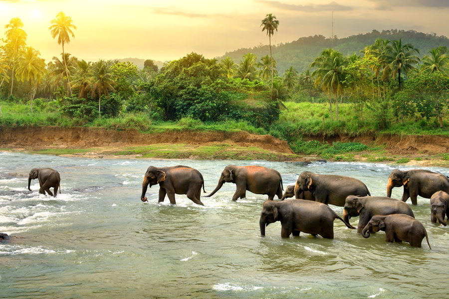 Exotic Kerala