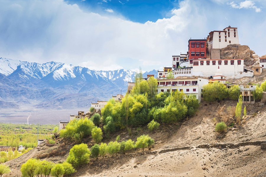 The Ultimate Ladakh