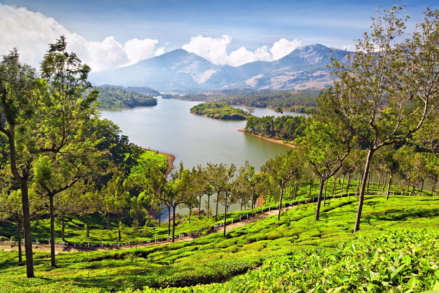 Exotic Kerala