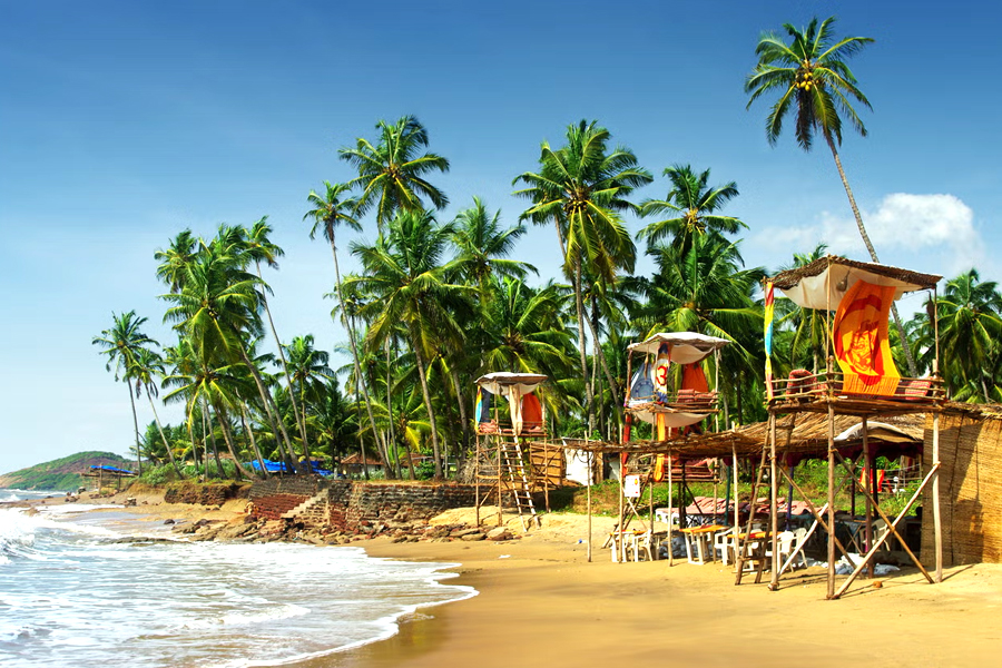 Amazing Goa